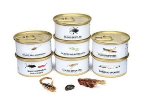 На любой вкус)