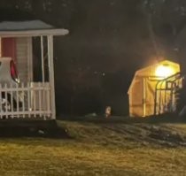 Просто. 
Это изначально так задумано. 
Навес для машины. 
Есть заезд и "калитка".