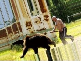 35 неожиданных, но приятных встреч с дикими животными