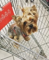 Ибальники за такое бить пока не треснет.