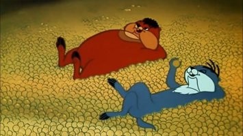 Запасливый дятел спрятал 300 кг желудей в стенах дома