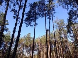 Ракурс съёмки тоже важен для создания впечатления о размерах. Я как-то встретил гигантского паука в лесах Ивановской области