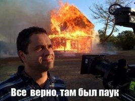 Австралиец увидел на своём крыльце гигантского паука
