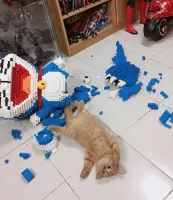 Котик заслуживает награды!
Ведь он победил чудовище и защитил людей!