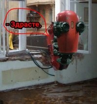 Намешалось