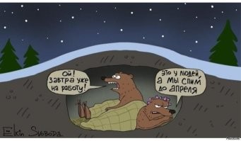 Сходил за хлебушком…