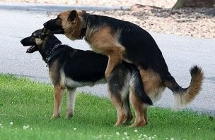 Как два самолёта столкнулись в воздухе и почему это не привело к катастрофе