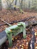 18. "Приятель прислал это. Какие выводы мы можем сделать?"



Такие, что после принятия Закона города Москвы от 21.11.2007 № 45, здесь шашлыки никто не жарил.