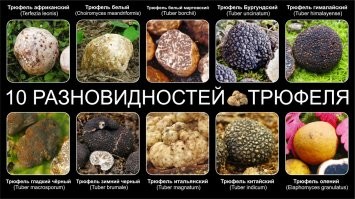 17 неожиданных находок, которые встретились людям в повседневной еде
