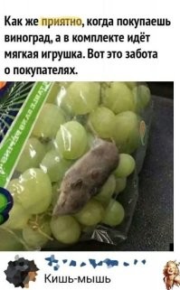 17 неожиданных находок, которые встретились людям в повседневной еде