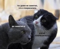 Комментарии и картинки из соцсетей. Свежак за 9 февраля