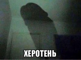 Вот как есть