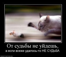 Хорошо что автобусы не летают! Погиб бы сразу, судьба.....