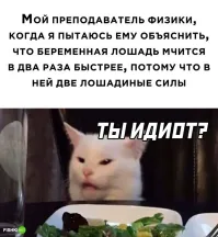 Действительно. Она же тащит в два раза больше, а не быстрее бежит.