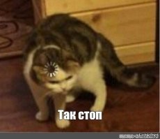 20+ штук, которые не каждый день увидишь