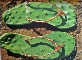 35 пар обуви, от которой можно прийти или в восторг, или в ужас