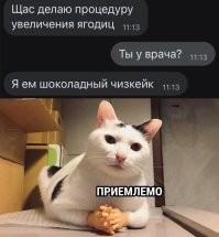 Фотоприколы и&nbsp;прикольные картинки