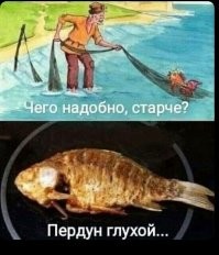 Фотоприколы и&nbsp;прикольные картинки