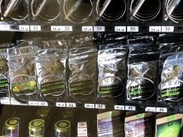 в Польше видел