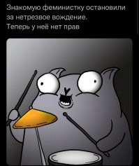 Комментарии и картинки из соцсетей. Свежак за 10 февраля