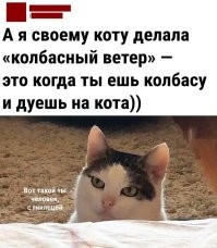 Комментарии и картинки из соцсетей. Свежак за 10 февраля