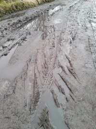 Ну вот например сланцы с травкой очень даже ничего. Во первых массаж, а во вторых не будет скользить нога. Ну и смотрятся оригинально. Остальное... плод больных фантазий и многие абсолютно непригодны к носке.
 Относительно ботинок-пенала для школьника, хочется сказать особо. Вот надо этих дизайнеров обуть и пустить пройтись по нашей улице до школьного автобуса. А потом заставить чертить, рисовать и писать контрольную.