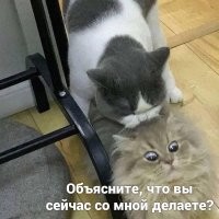 Ну, в принципе... одно и то же.