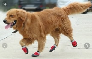 в штатный комплект на случай чп, добавить короссовочки .. такие есть