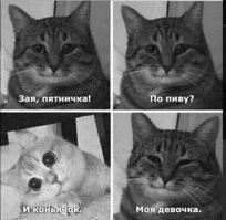 Алкопост на&nbsp;вечер этой пятницы