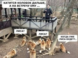 Фотоприколы и&nbsp;прикольные картинки