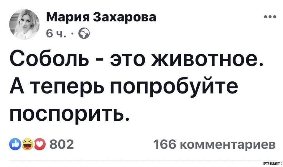 Любовь соболь сошла с ума. Анекдоты про любовь Соболь. Мемы про Соболь. Любовь Соболь мемы. Шутки про соболя.