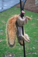 Ну хоть не так и то ладно -