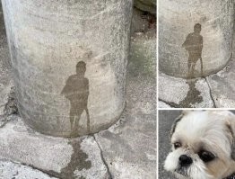 Скажите, это Бенкссы?