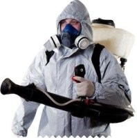 Значит, дустом тщательно обсыпать