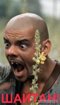 Халат!
О!
Халат не был мене, халат не был, честное слово у мене халат не был...
каждый шакал халат носит.
Я целый год без халат ходил!