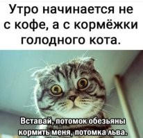 Комментарии и картинки из соцсетей. Свежак за 12 февраля