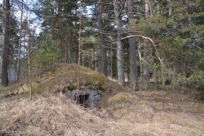 В Карелии заброшенный ледник.