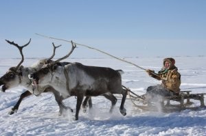 Как люди попали в Америку? Спасибо льду за это