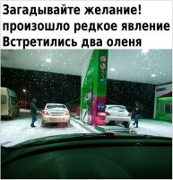 Почему "олени"? Один подъехал раньше, когда нужная ему сторона была занята. Он и встал где свободно, тем более, что длины шланга достаточно, чтоб заправляться и так и так. А второй подъехал позже и тоже встал у свободной колонки.