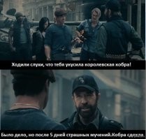 25 занимательных фактов о змеях