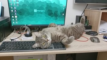 Шкодные какие...