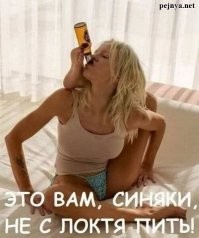 Типичный алкоголик: убойные ситуации из жизни людей, обожающих выпивать