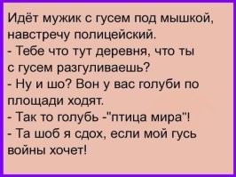 Американку, которая выгуливала телёнка на Красной площади, на 40 лет выдворят из России