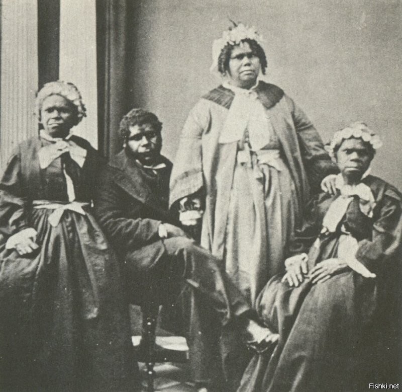 Тасманийцы, самоназвание палава (англ. Palawa)   аборигенное население о. Тасмания, Австралия.

C 1803 по 1833 год, в течение всего 30 лет, число тасманийских аборигенов сократилось c 5000 до 300, в основном из-за привезенных из Европы болезней и геноцида, развязанного британскими поселенцами при попустительстве властей. Одна из последних чистокровных тасманиек, Труганини, умерла в 1876. В настоящее время живы многие люди, происходящие от тасманийских аборигенов в результате смешанных браков, и они сохраняют традиционную культуру палава.

Все тасманийские языки вымерли   сохранились лишь списки слов, а также аудиозаписи на восковых цилиндрах народных песен, которые напела в 1903 году тасманийка Фанни Кокрейн Смит. В настоящее время предпринимаются попытки реконструировать по крайней мере один из языков (палава-кани, букв. «тасманийский язык») из сохранившихся слов и реанимировать аборигенную культуру по традициям, которые поддерживаются в некоторых семьях, чей род восходит к аборигенам.