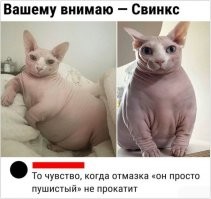 Осталось ещё "кость широкая,толстая"