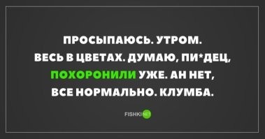 Типичный алкоголик: убойные ситуации из жизни людей, обожающих выпивать
