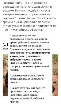 25 занимательных фактов о змеях