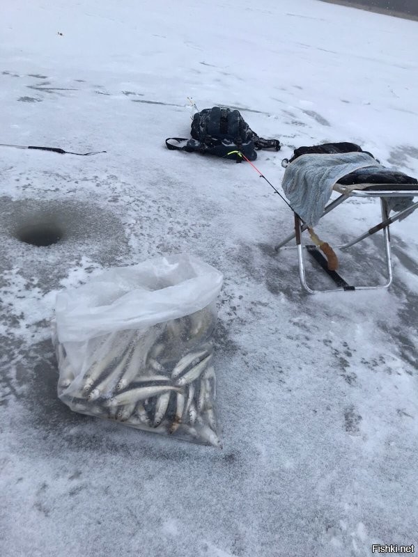 "Серёга, льдину разворачивай!": на Сахалине рыбаков уносит на льдине в море