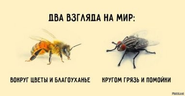 Как животные видят этот мир