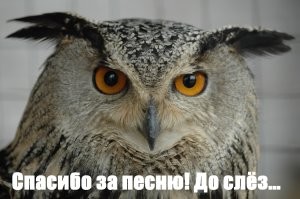 Нежность до предела... Одна из самых чувственных баллад своего времени